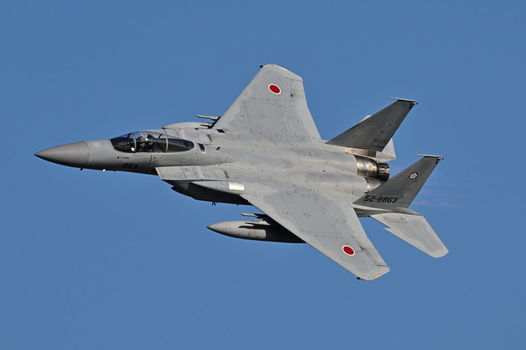 2023築城基地航空祭_５～梅組参上②～