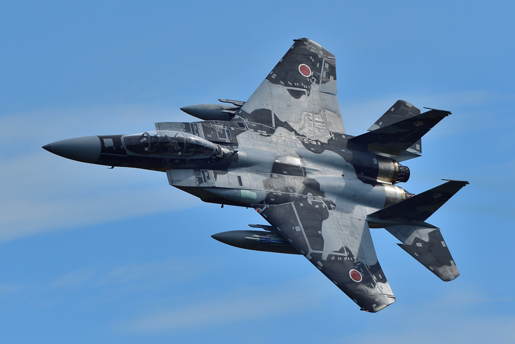 Aggressor～ゴジラ～