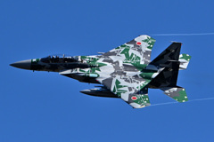 青空の下でアグレッサーを撮る_02