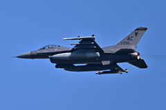 米軍主催訓練”レゾリュート・フォース・パシフィック_09