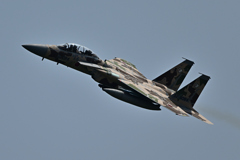 2025AGGRESSOR_32-8084_07