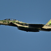 2025AGGRESSOR_32-8081_03