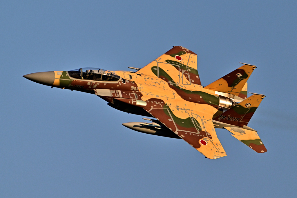 2025AGGRESSOR_92-8095_20
