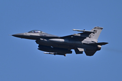 米軍主催訓練”レゾリュート・フォース・パシフィック_03