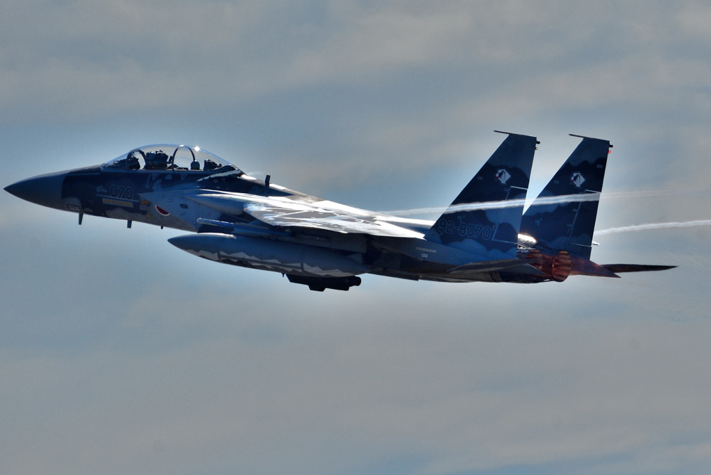 航空祭機動飛行・予行～アグレッサー＃８０７０機～（１）