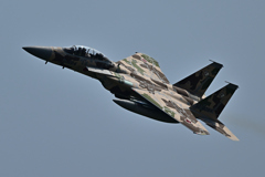 2025AGGRESSOR_32-8084_08