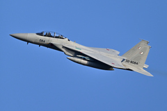 2025AGGRESSOR_32-8084_05