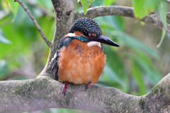 2025-2026翡翠散策_98