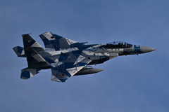 2025AGGRESSOR_82-8093_31