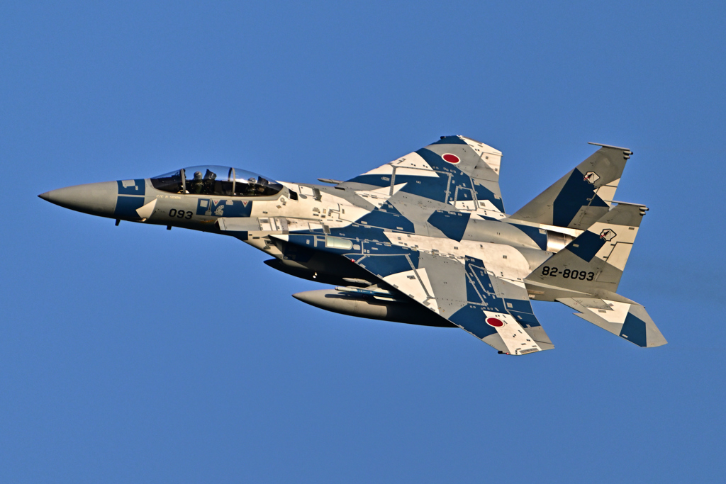 2025AGGRESSOR_82-8093_21