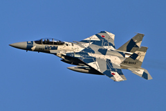 2025AGGRESSOR_82-8093_21
