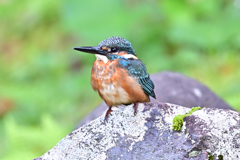 2025-2026翡翠散策_31