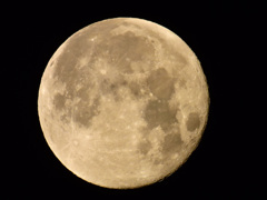 十六夜