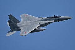 303SQ in KOMATSU F-15_24