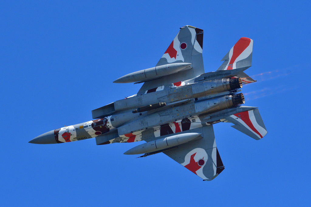 航空祭機動飛行・予行～アグレッサー＃８０８３機～（９）