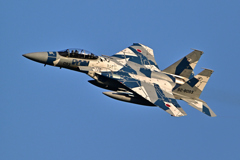 2025AGGRESSOR_82-8093_19