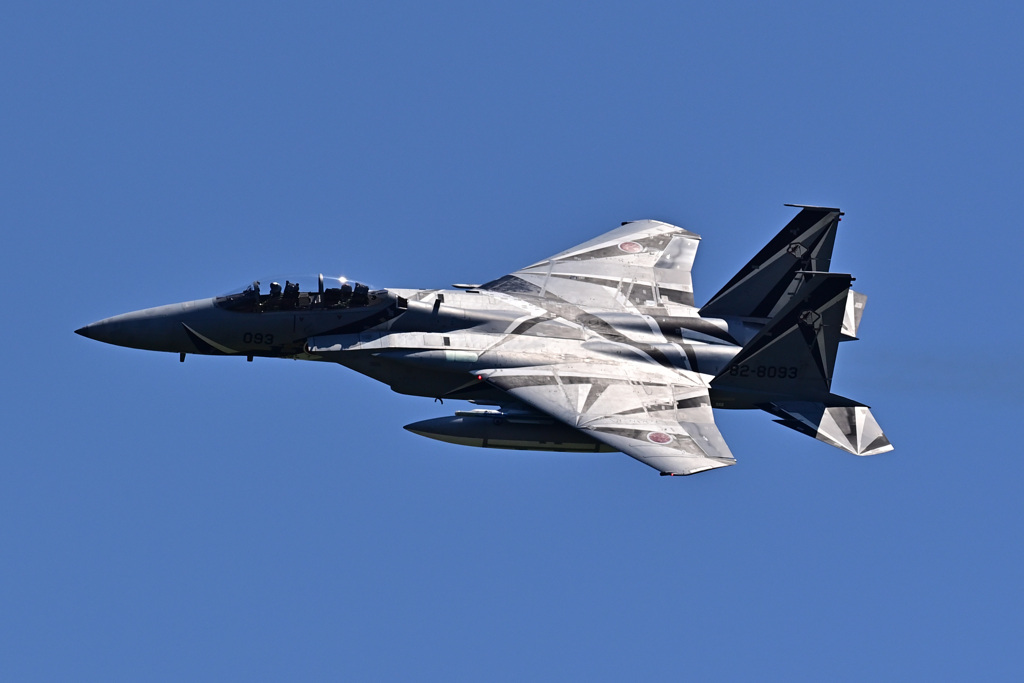 AGR_82-8093_01