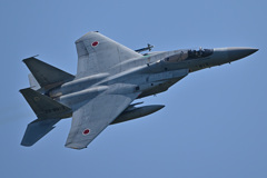 303SQ in KOMATSU F-15_10