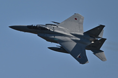 2025AGGRESSOR_32-8081_01