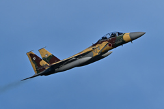 2025AGGRESSOR_92-8095_24
