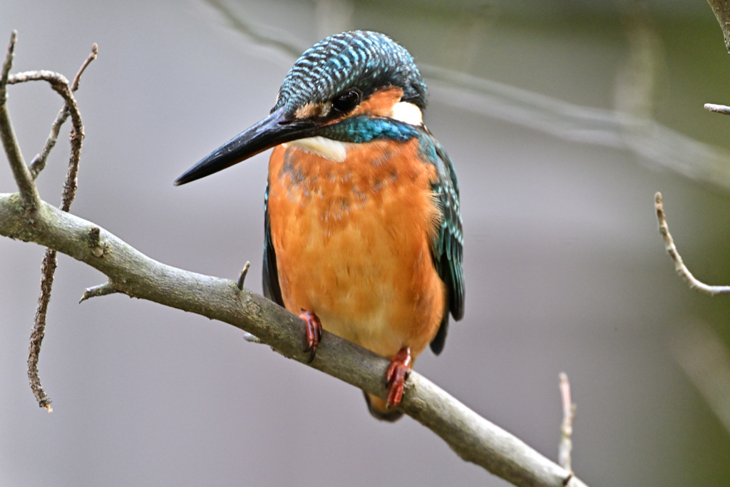 2025-2026翡翠散策_99