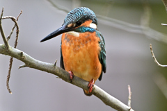 2025-2026翡翠散策_99