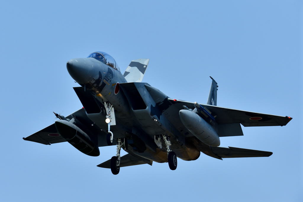 アグレッサーに新塗装登場・・・地味！？（３）