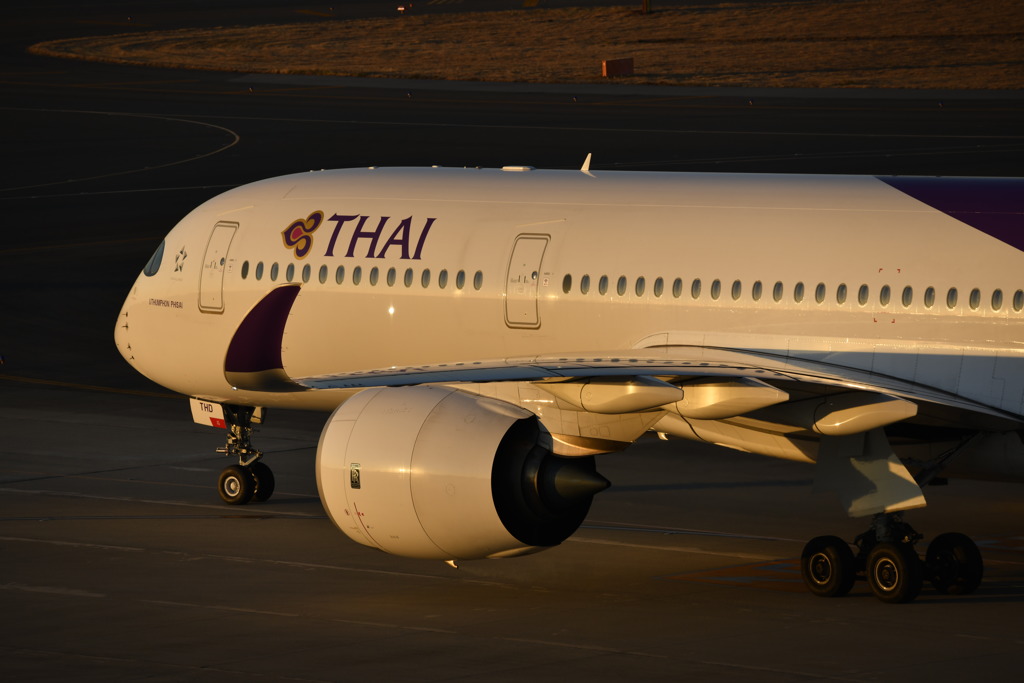 Ａ３５０脚線美！！