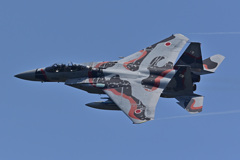 AGR_92-8095_01
