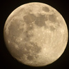 十三夜、あと２日・・・