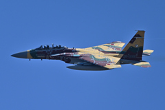 2025AGGRESSOR_92-8095_04