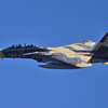 2025AGGRESSOR_92-8095_04