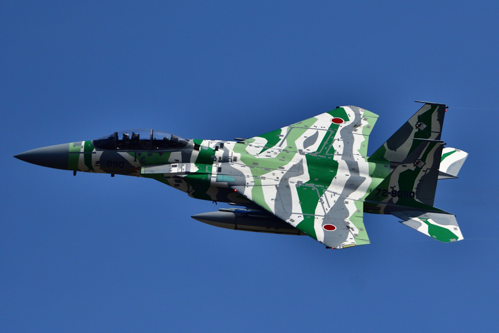 青空とアグレッサー機達_02