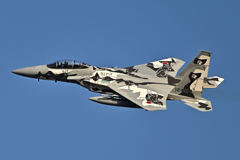 2025AGGRESSOR_12-8074_12