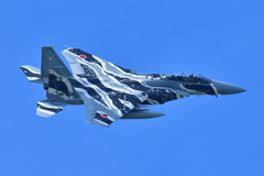 青空とゼブラ柄のアグレッサー
