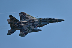2025AGGRESSOR_32-8084_19