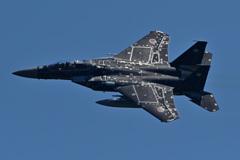 AGR_92-8096_01