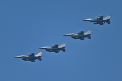 米軍主催訓練”レゾリュート・フォース・パシフィック_10