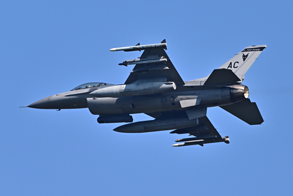 米軍主催訓練”レゾリュート・フォース・パシフィック_05