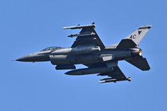 米軍主催訓練”レゾリュート・フォース・パシフィック_05