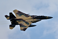 2025AGGRESSOR_92-8095_14
