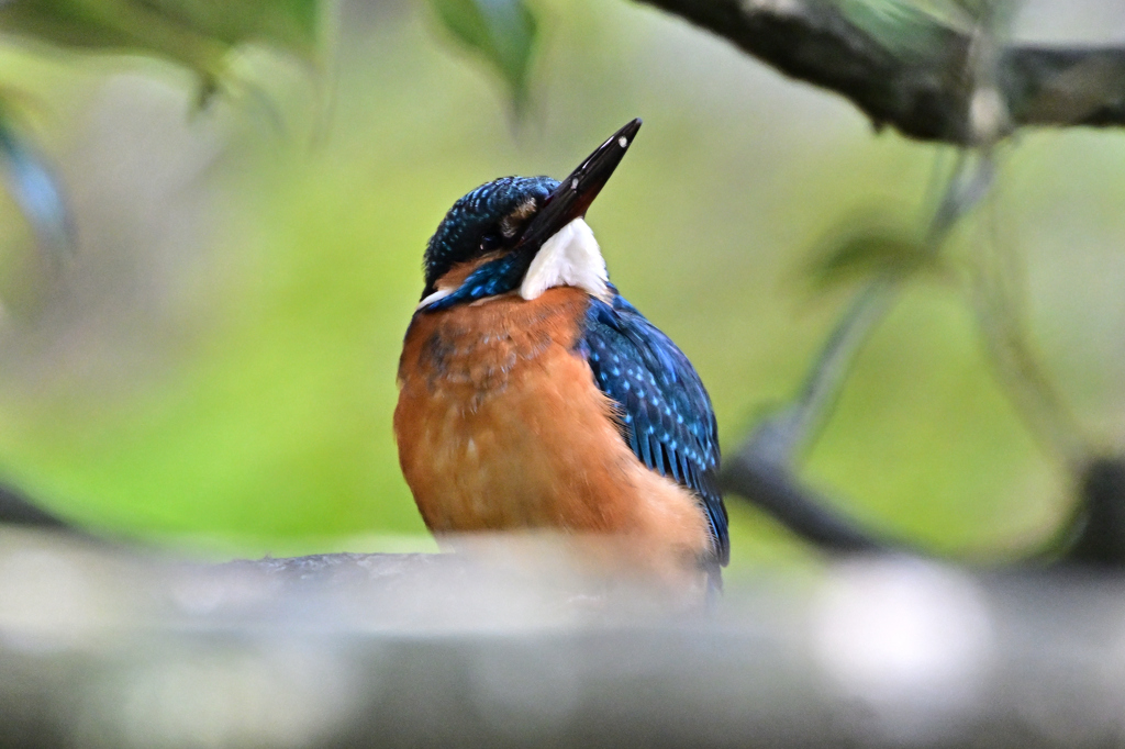 2025-2026翡翠散策_108