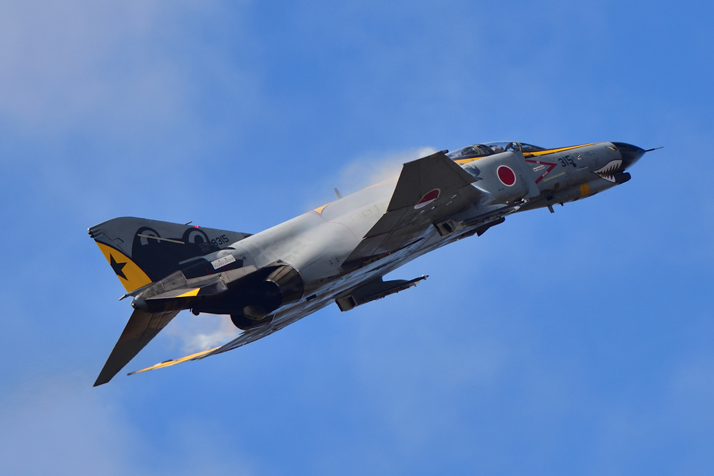 ラスト・ファントム～ケロヨン特別塗装機③～