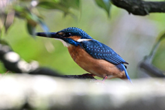 2025-2026翡翠散策_111