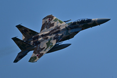 2025AGGRESSOR_32-8084_18