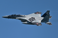 米軍主催訓練”レゾリュート・フォース・パシフィック_28