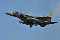 2025AGGRESSOR_92-8095_07