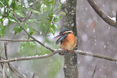 今シーズン初の雪カワ_26