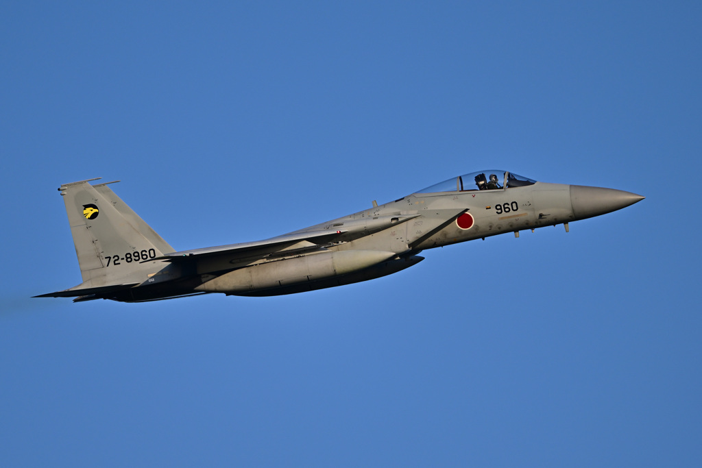 2023ゴールデンイーグル_F-15_23