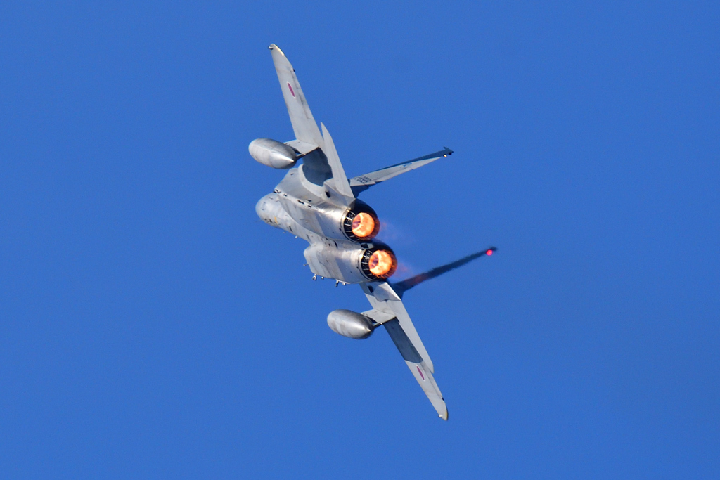 2019岐阜基地航空祭㉑～Ｆ-１５編～